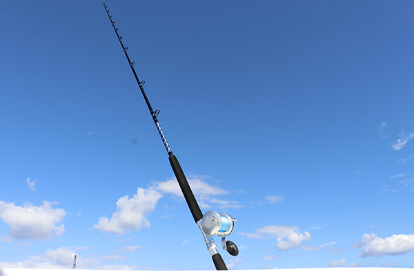 Live Bait Kingfish Rods