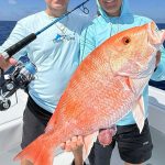 Best rods for Snapper Fishing
