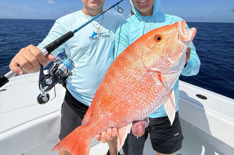 Best rods for Snapper Fishing