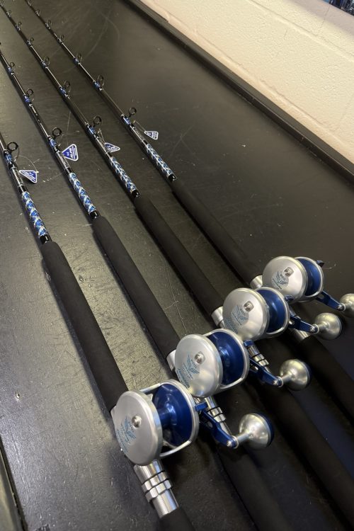Deal of the Day – Diamond Series 700L + Accurate Valiant 600 Combo
