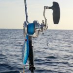 slow pitch jigging rods setup